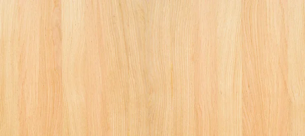 Fragment Wooden Panel Hardwood — Stock Photo, Image