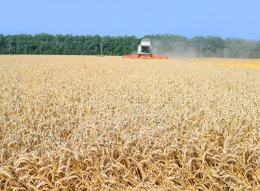 Buğday tarlasında çalışan hasatçıyı birleştirin.