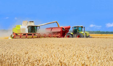 Tahıl hasat traktör römork tahıl tankına aşırı yükleme.