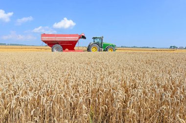 combine harvester working at wheat field, harvesting in the countryside