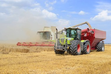 Tahıl hasat traktör römork tahıl tankına aşırı yükleme.