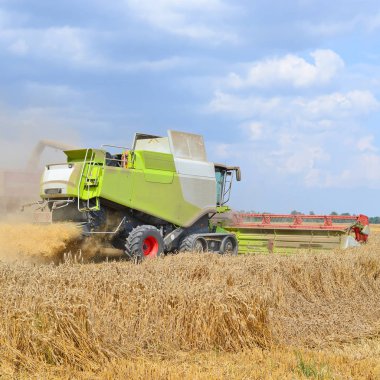 Buğday tarlasında çalışan hasatçıyı birleştirin, kırsal alanda hasat yapın.