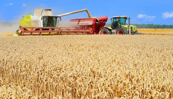 Getreidevollernter Überladen Den Getreidetank Des Traktoranhängers — Stockfoto