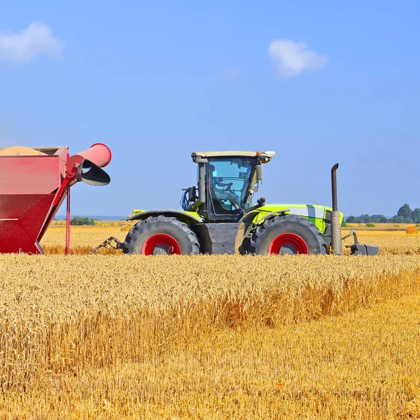 Overloading Grain Harvester Grain Tank Tractor Trailer — Stock Photo, Image