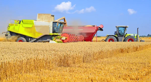 Overloading Grain Harvester Grain Tank Tractor Trailer — Stock Photo, Image