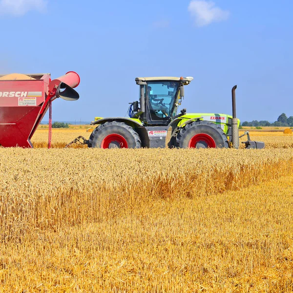 Combine Harvester Working Wheat Field Harvesting Countryside — Stockfoto