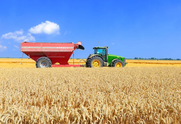 Maaidorser Tarweveld Combineren Oogsten Het Platteland — Stockfoto