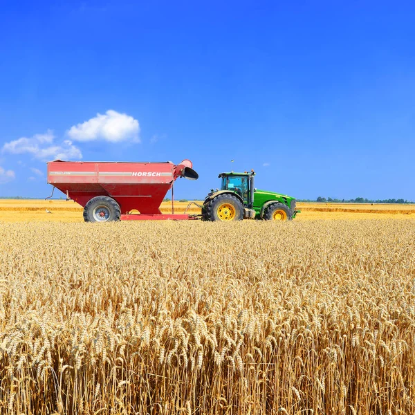 Combine Harvester Working Wheat Field Harvesting Countryside — Fotografie, imagine de stoc