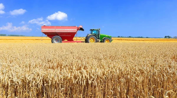 Menggabungkan Pemanen Bekerja Ladang Gandum Memanen Pedesaan — Stok Foto