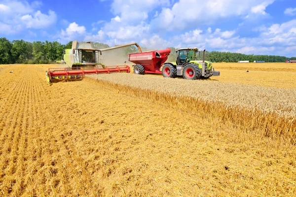 Getreidevollernter Überladen Den Getreidetank Des Traktoranhängers — Stockfoto