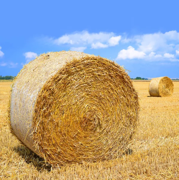 Harvesting Straw Rural Landscape — Stock Photo, Image