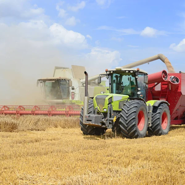 Overloading grain harvester into the grain tank of the tractor trailer.