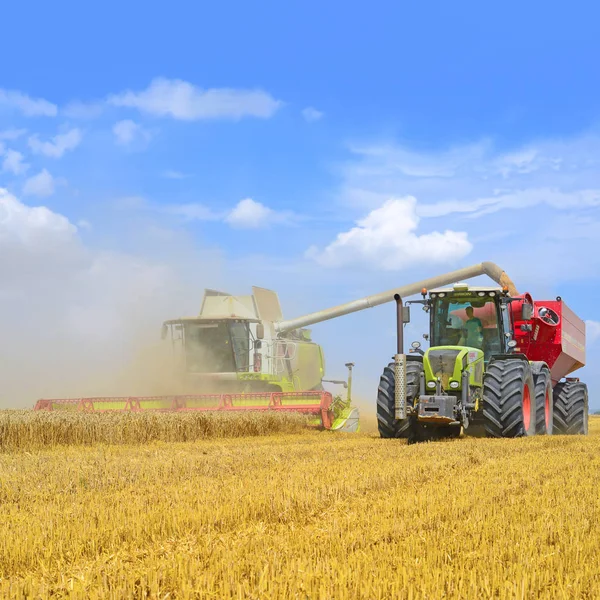 Overloading grain harvester into the grain tank of the tractor trailer.