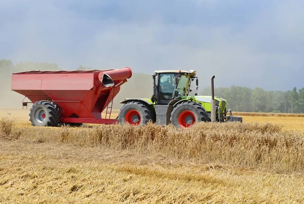 Combine Harvester Working Wheat Field Harvesting Countryside — Zdjęcie stockowe