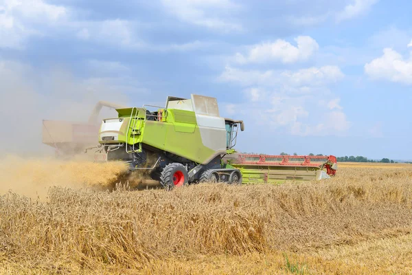 Overloading grain harvester into the grain tank of the tractor trailer.