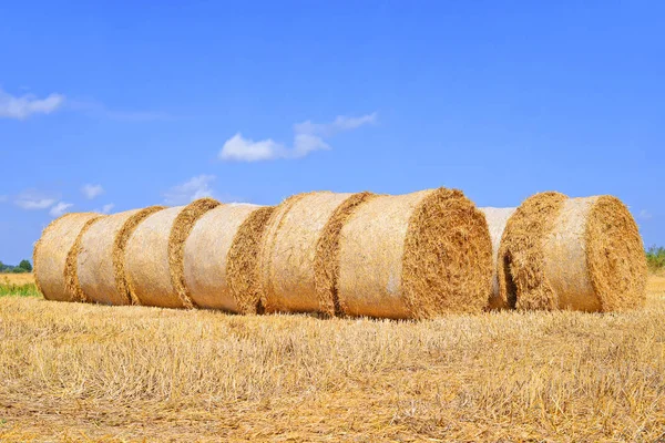 Cosecha Paja Paisaje Rural — Foto de Stock