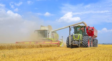 Tahıl hasat traktör römork tahıl tankına aşırı yükleme.