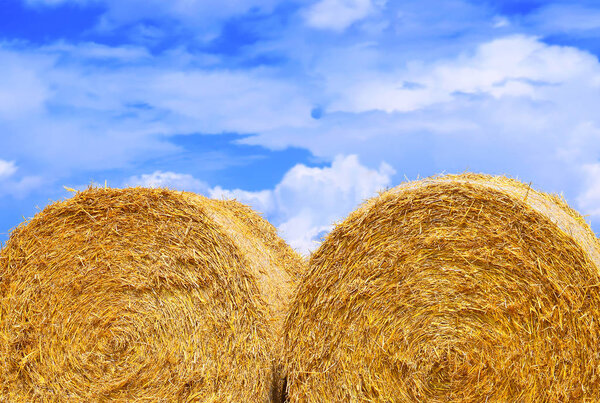 Harvesting of straw in the rural landscape