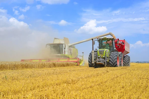 Tahıl hasat traktör römork tahıl tankına aşırı yükleme.