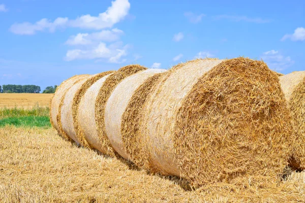 Récolte Paille Dans Paysage Rural — Photo