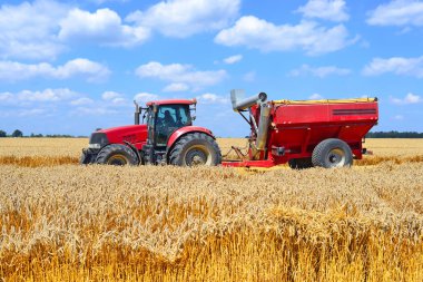 tractor trailer with grain tank working on a wheat field