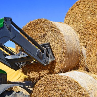 Kalush, Ukrayna - 13 Ağustos 2015: Evrensel yükleyici, Batı Ukrayna 'nın Kalush kenti yakınlarında saman hasında hasat ediyor