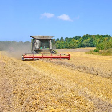 Kalush, Ukrayna - 17 Temmuz 2015: şehrin Kalush, Ukrayna alanındaki tahıl hasat Modern Birleştir .