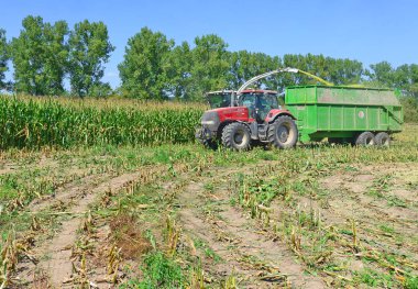 Kalush, Ukrayna - 8 Ekim 2013: Batı Ukrayna 'nın Kalush kenti yakınlarındaki tarlada mısır hasadını modern birleştirme