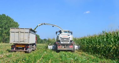 Kalush, Ukrayna - 8 Ekim 2013: Batı Ukrayna 'nın Kalush kenti yakınlarındaki tarlada mısır hasadını modern birleştirme