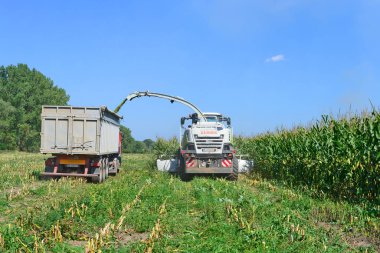 Kalush, Ukrayna - 8 Ekim 2013: Batı Ukrayna 'nın Kalush kenti yakınlarındaki tarlada mısır hasadını modern birleştirme