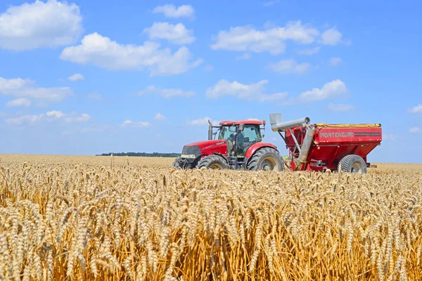 Combine Harvester Working Wheat Field Harvesting Countryside — Photo