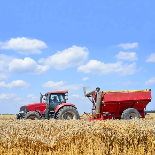 Tractor Trailer Grain Tank Working Wheat Field — Stock Photo, Image