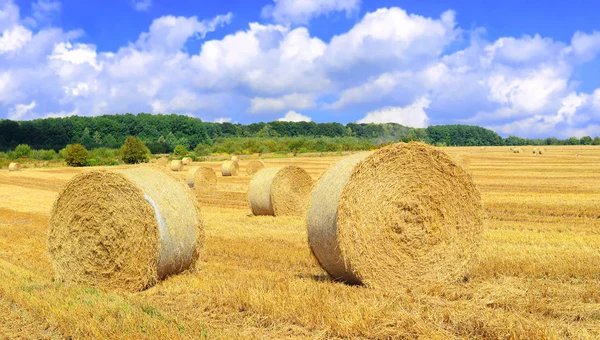 Stroh Ernten Der Ländlichen Landschaft — Stockfoto