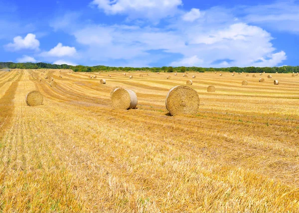 Cosecha Paja Paisaje Rural — Foto de Stock