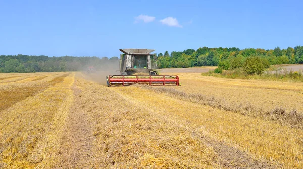 Kalush Ukraine Juli 2015 Moderne Mähdrescher Ernten Getreide Auf Einem — Stockfoto