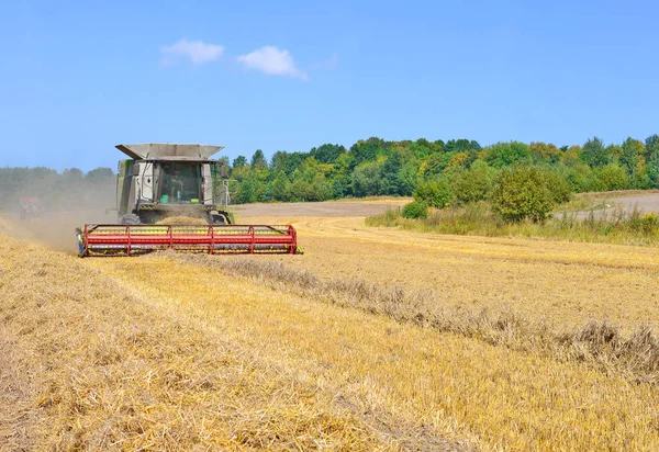 Kalush Ukraine Juli 2015 Moderne Mähdrescher Ernten Getreide Auf Einem — Stockfoto