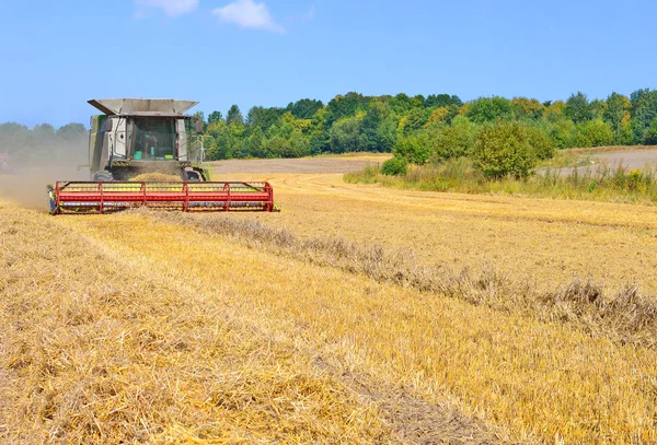 Kalush Ukraine Juli 2015 Moderne Mähdrescher Ernten Getreide Auf Einem — Stockfoto