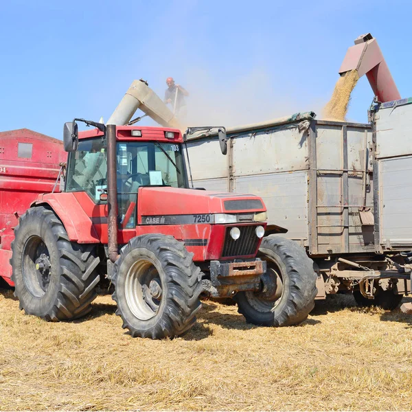 Overloading Grain Harvester Grain Tank Tractor Trailer — Stock Photo, Image