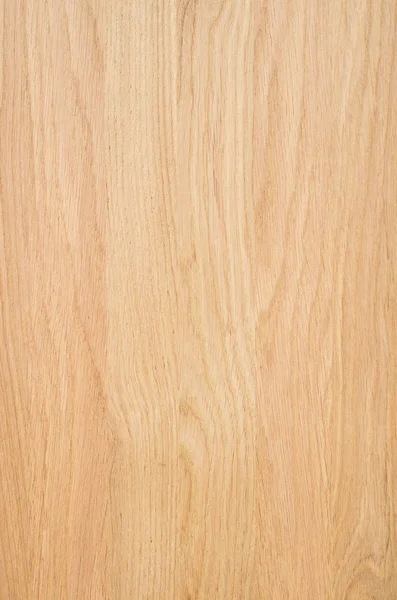 Fragmento Panel Madera Madera Dura — Foto de Stock