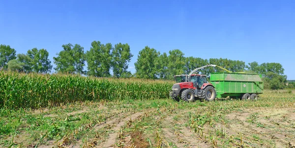 Kalush Ukraine October Modern Combine Harvesting Corn Field Town Kalush — Fotografia de Stock
