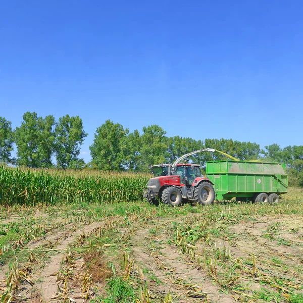 Kalush Oekraïne Oktober Moderne Combineren Oogsten Maïs Het Veld Buurt — Stockfoto