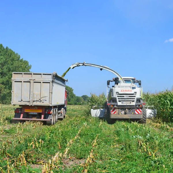 Kalush Ukraine October Modern Combine Harvesting Corn Field Town Kalush — Foto de Stock