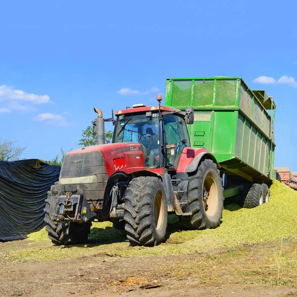 Fill Silage Trench Corn Silage Dairy Farm — Stock Fotó