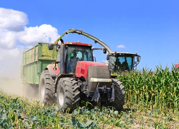 Kalush Ukraine October Modern Combine Harvesting Corn Field Town Kalush — 스톡 사진