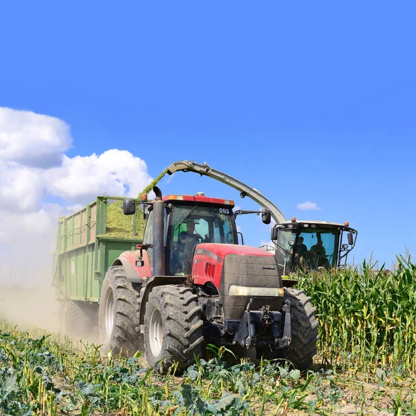 Kalush Ukraine October Modern Combine Harvesting Corn Field Town Kalush — Stock Photo, Image