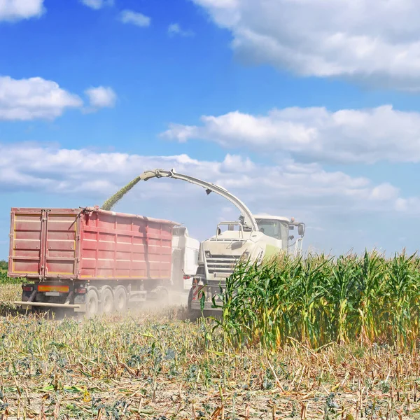 Kalush Ukraine October Modern Combine Harvesting Corn Field Town Kalush — Photo