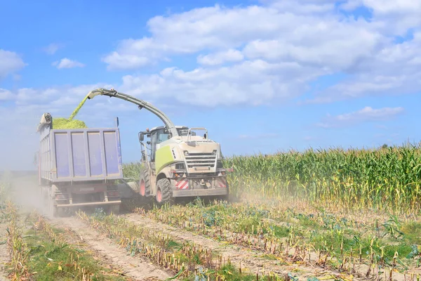 Kalush Ukraine October Modern Combine Harvesting Corn Field Town Kalush — Photo