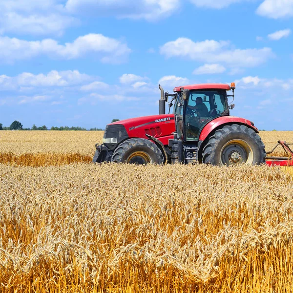 Combine Harvester Working Wheat Field Harvesting Countryside Stock Image