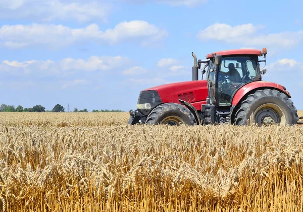 Tractor Trailer Grain Tank Working Wheat Field Royalty Free Stock Images