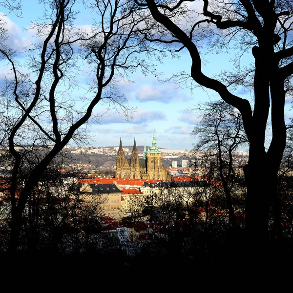 Чехия Вид Старый Город Удивительный Город — стоковое фото